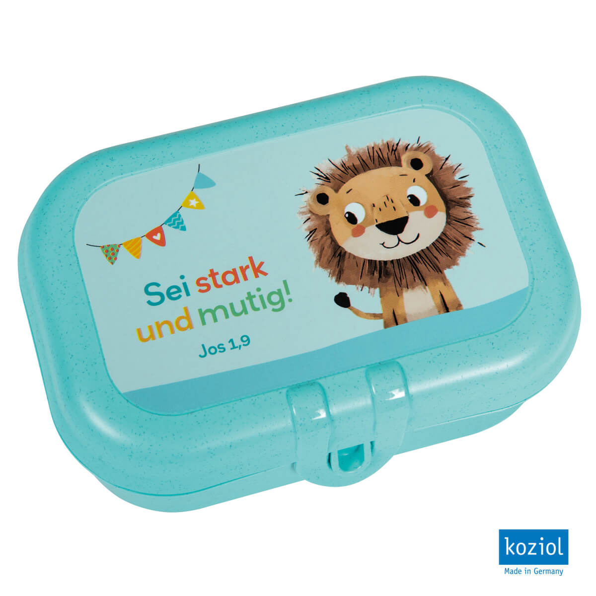 Bleistift-Box, Tier, Bär, Säugetier, Tierwelt